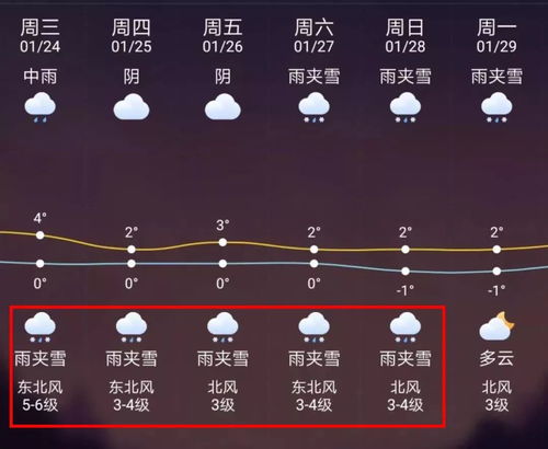 上海天气预报7天查询（上海天气预报7天查询结果是什么）