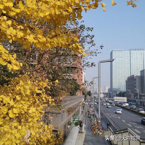 成都天气15天天气预报（成都未来十天的天气预报15天）