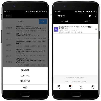 bt官方下载绿色版V87.3.261.235安卓系统版本-推荐