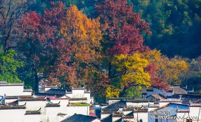 江西婺源天气30天（江西婺源几月份去最好）