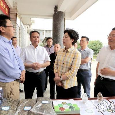 娄底天气预报15天（娄底天气预报15天当地天气查询表）